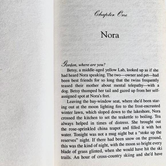 One Perfect Day: A Novel - Book by Lauraine Snelling - Picture 7 of 7